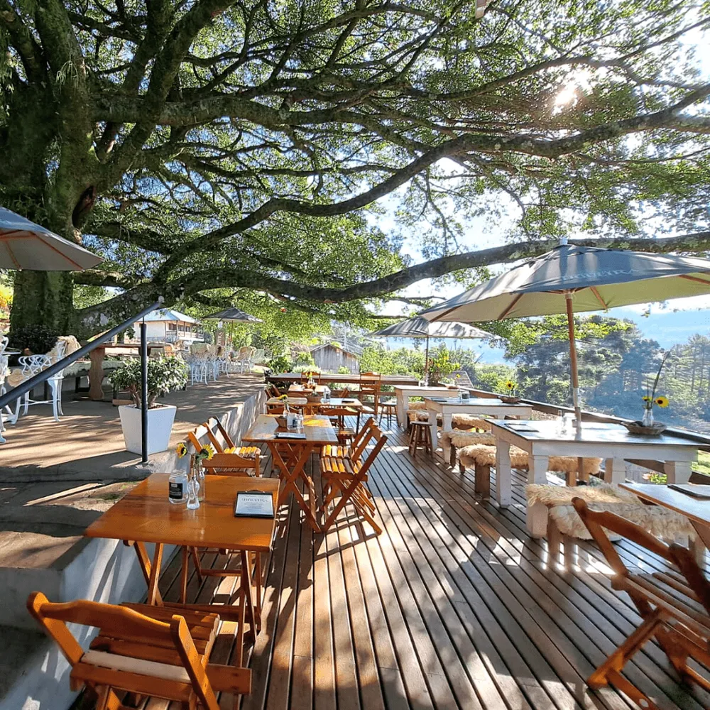 Foto: Restaurante Casa Figueira via Google Maps.