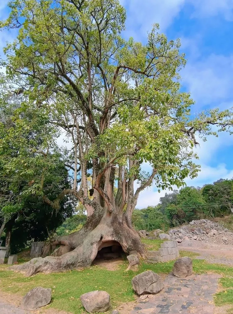 Foto: Nestor Bavaresco via Google Maps.