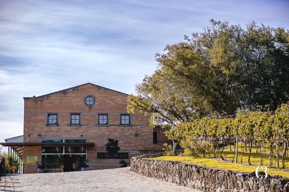 Foto: Vinícola Torcello via Google Maps.