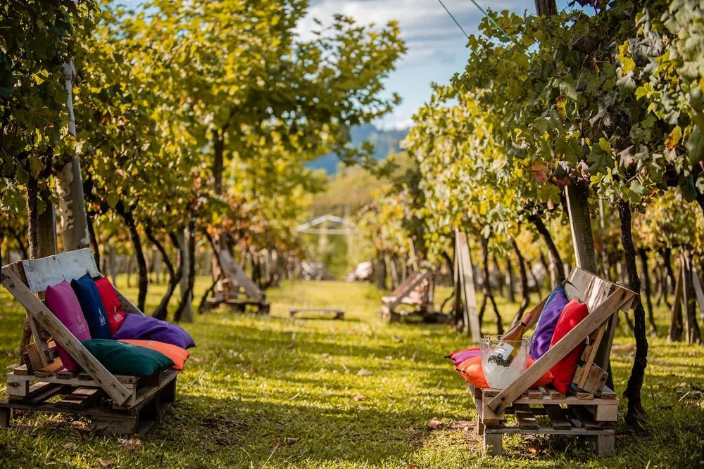 Foto: Vinhos Larentis via Google Maps.