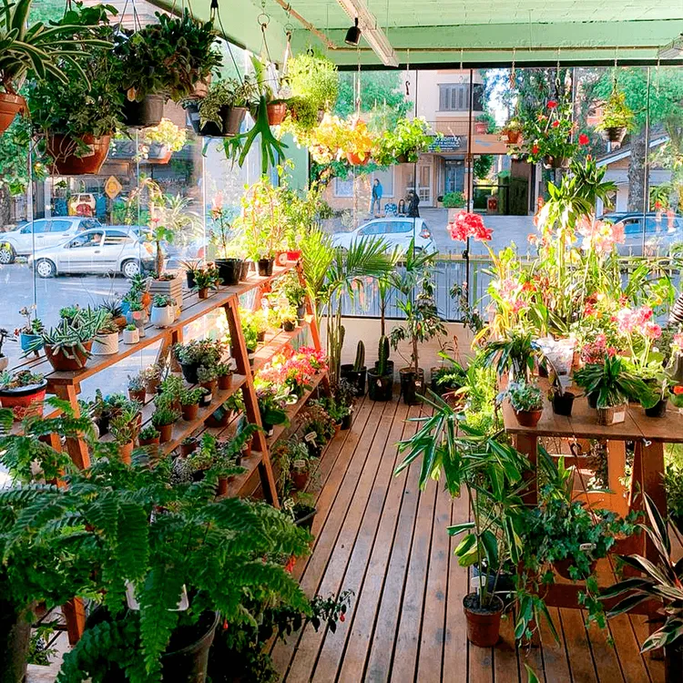 Foto: Cooperativa Gramado Colonial - Produtos Coloniais, Agropecuária, Floricultura, Pet Shop via Google Maps.