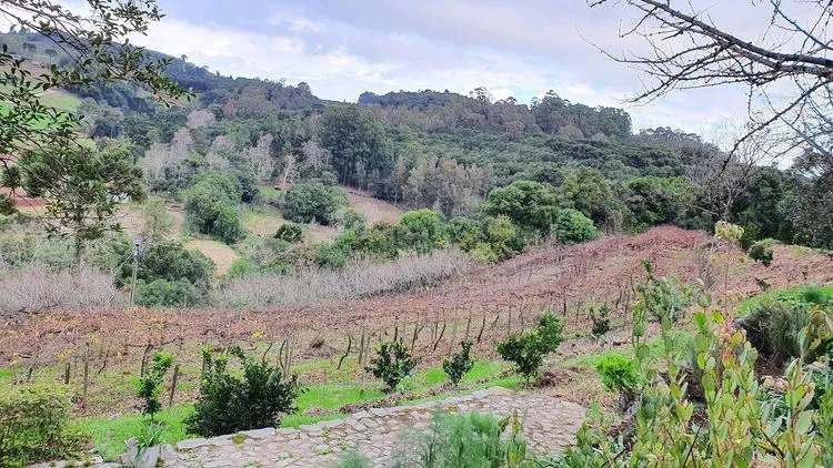 Foto: Maicon Belleboni via Google Maps.